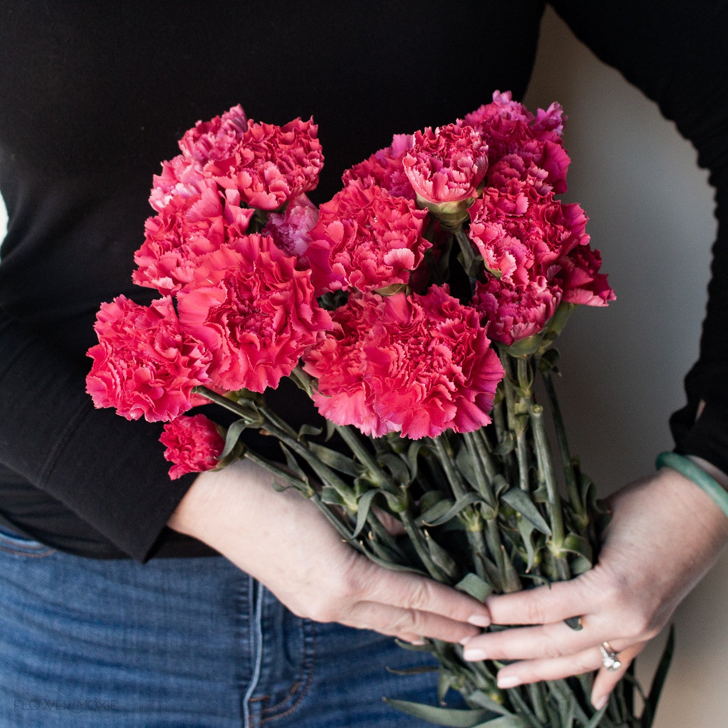 deep pink carnation flower