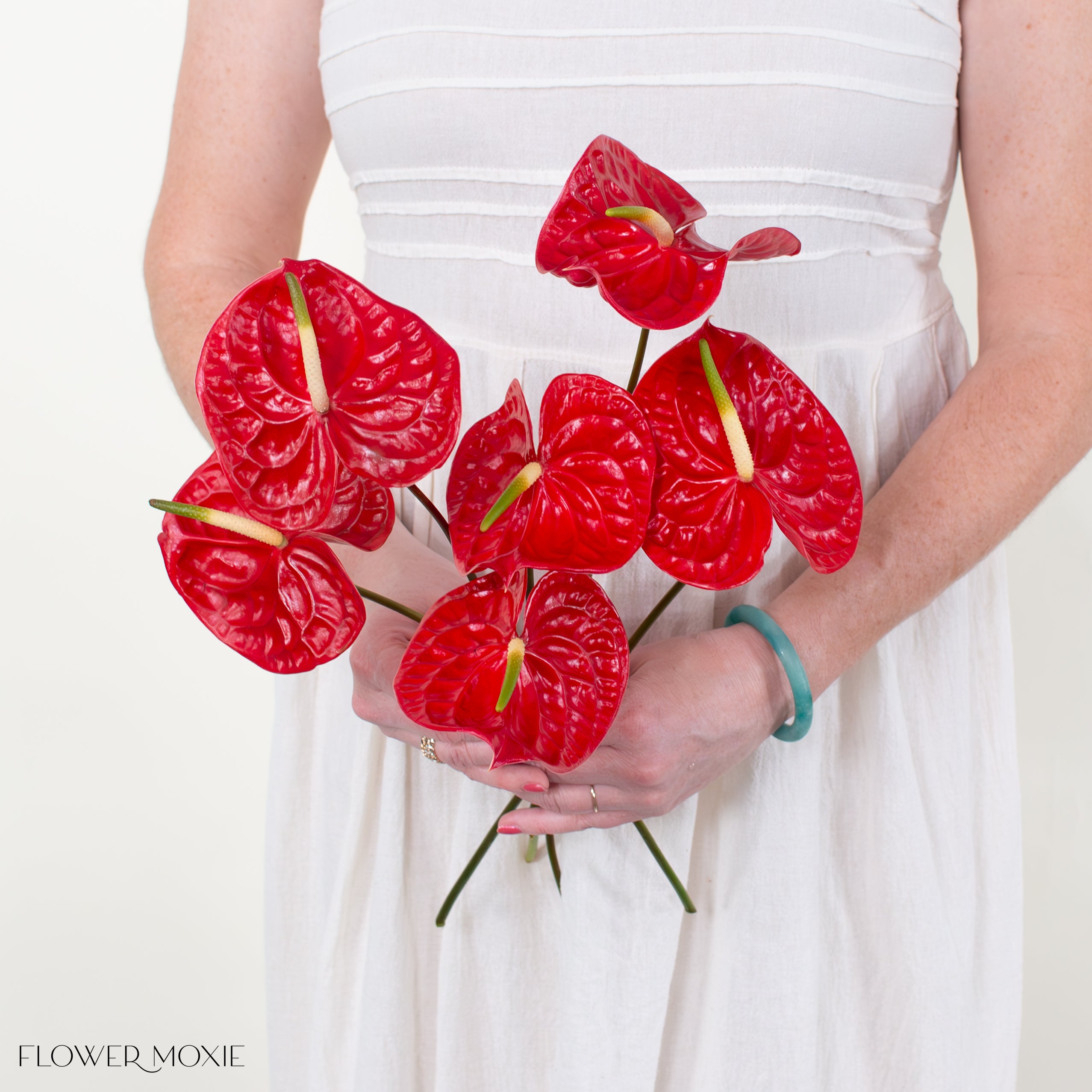 Calisto Red Anthurium
