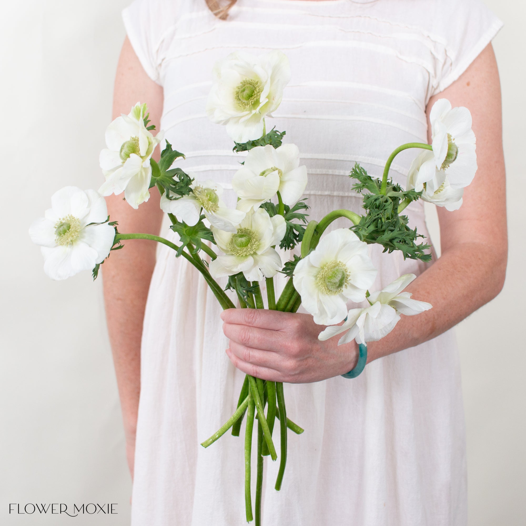 mistral bianco white anemone flower
