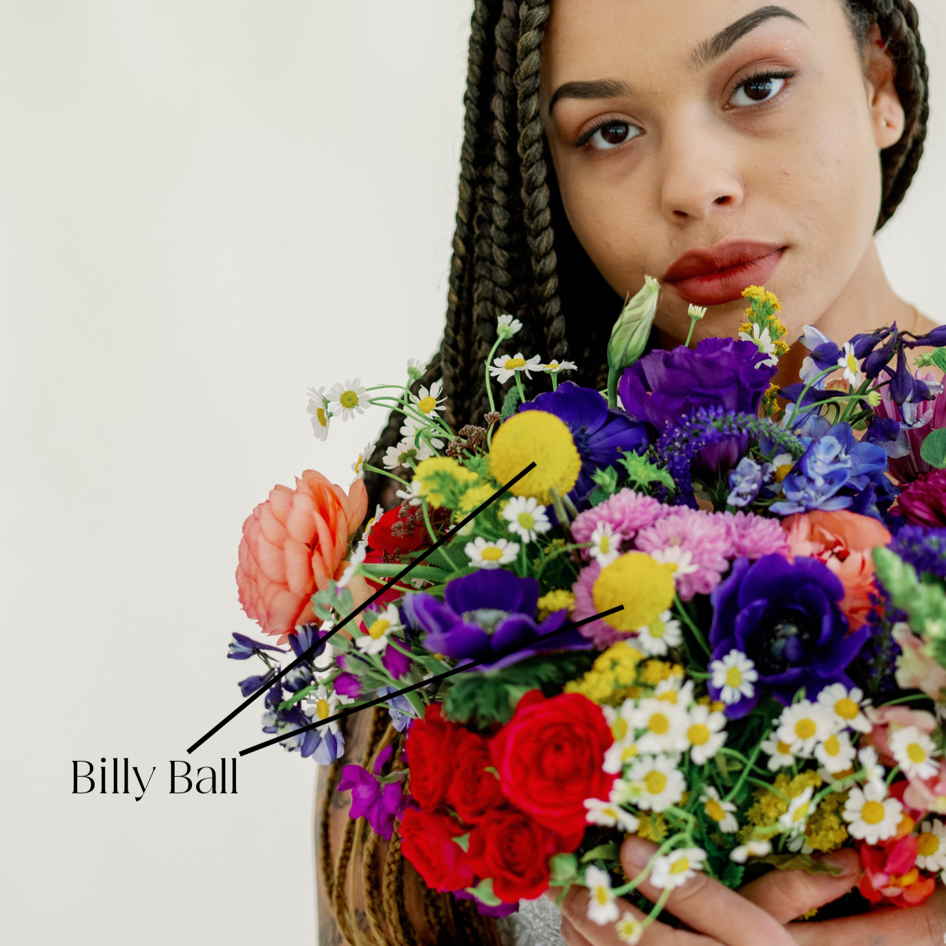 billy ball flower