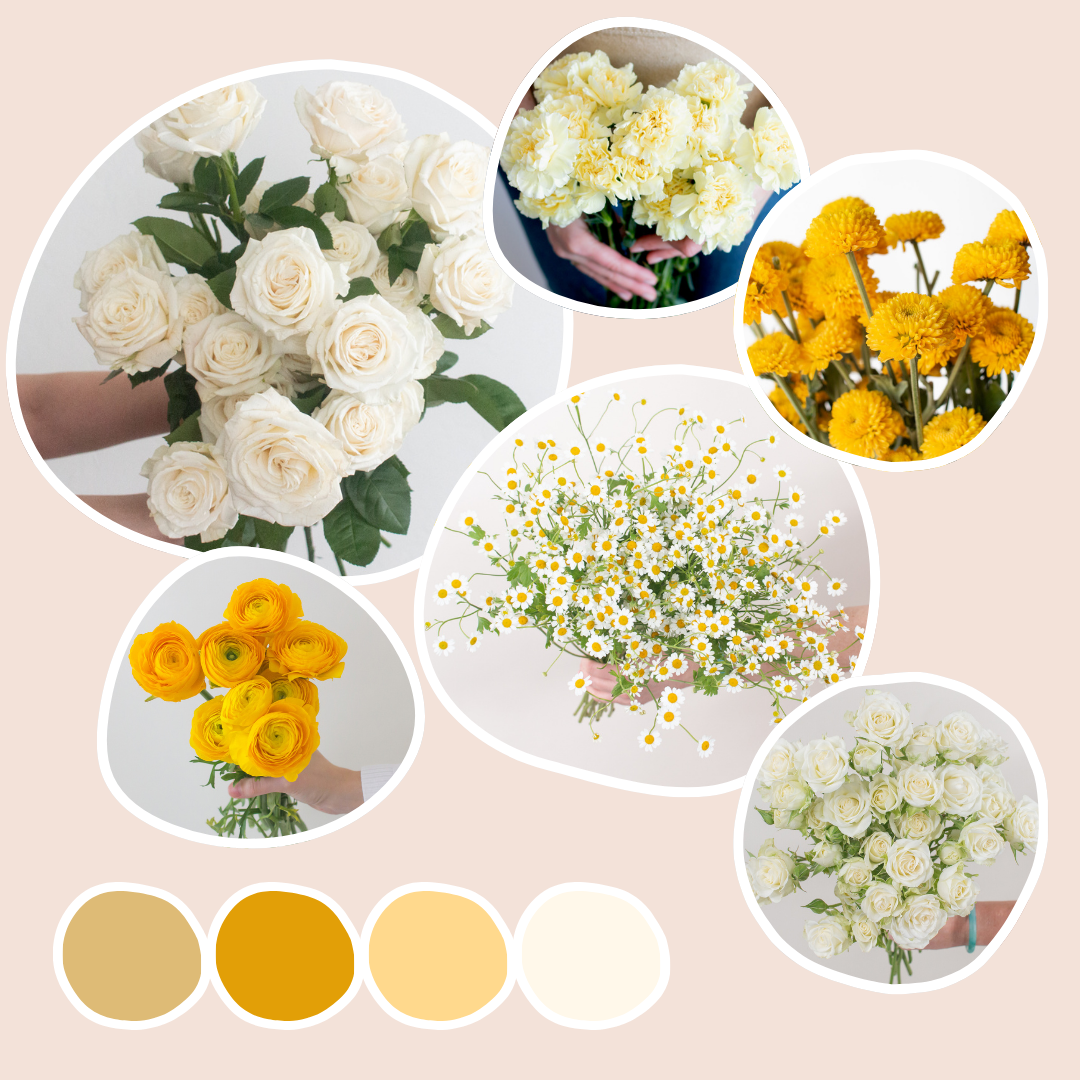 Citrine Sample Box