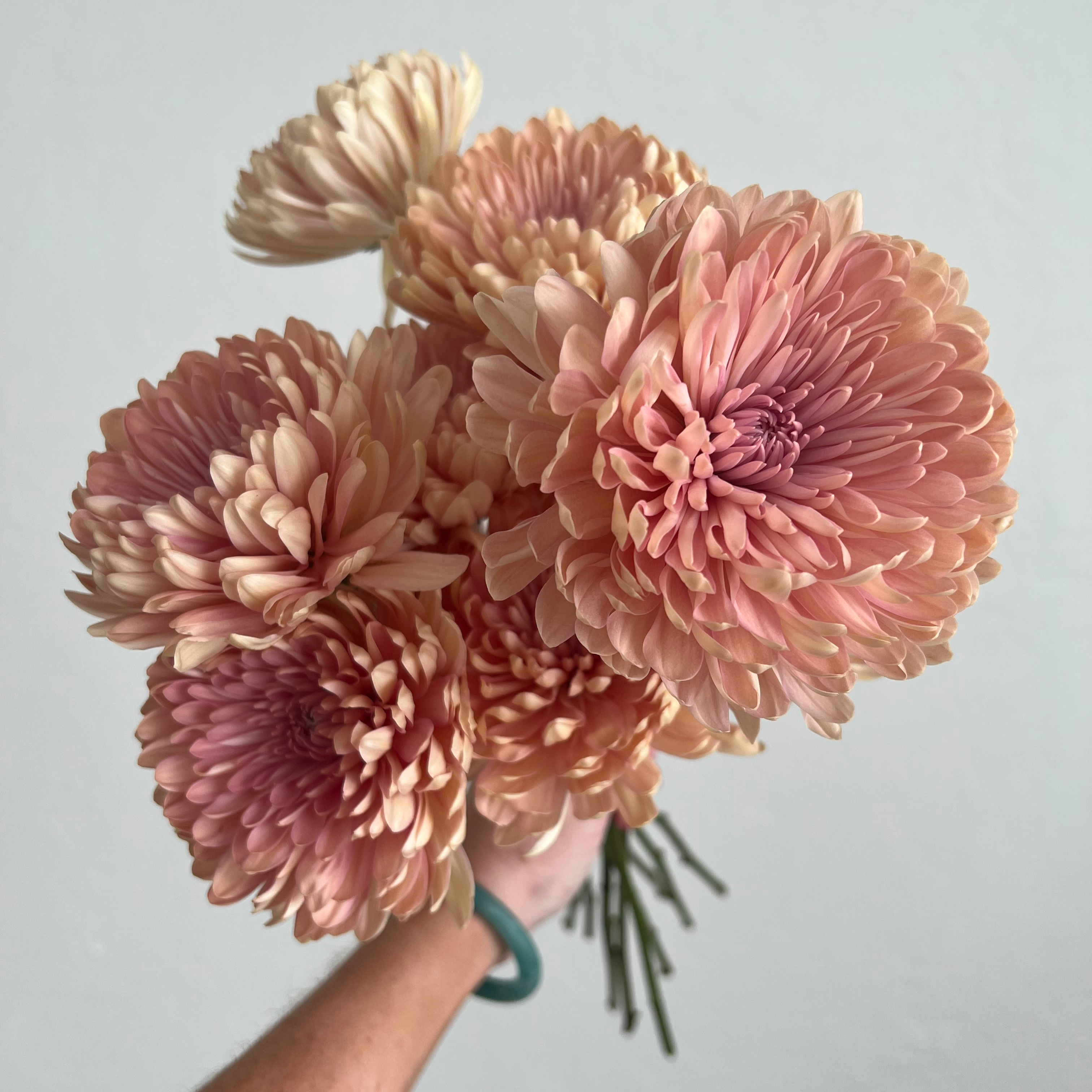 Peach Cremone Flower