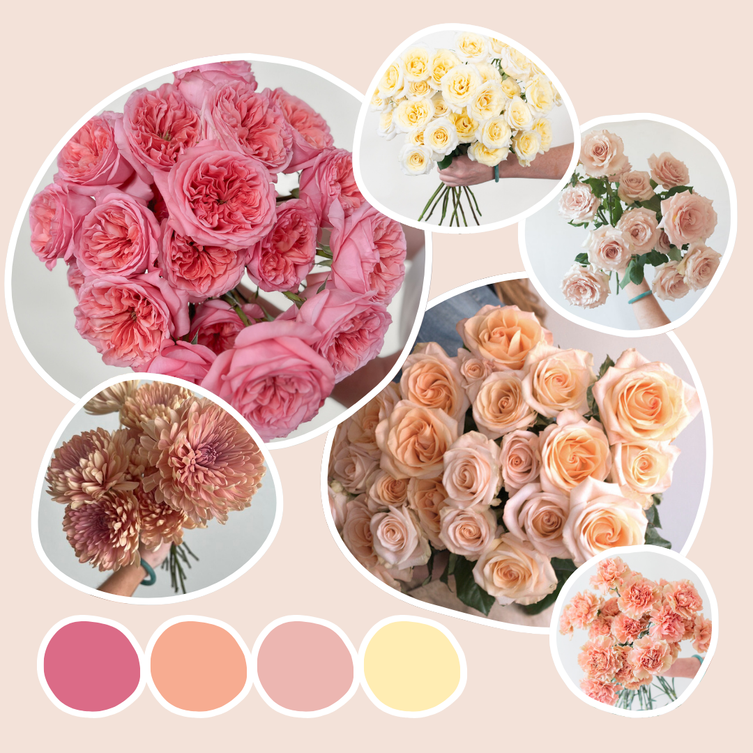 sunset sample box